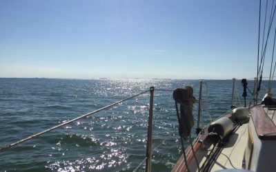 Navegando por el Delta del Ebro #3