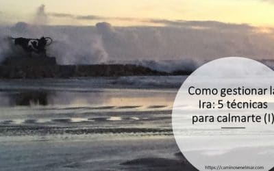 Como gestionar la ira: 5 técnicas para calmarte (I)