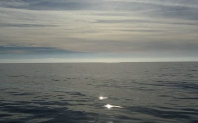 Cómo mejorar la consciencia emocional