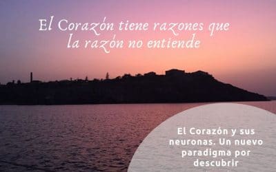 El corazón y sus neuronas. Un nuevo paradigma por descubrir
